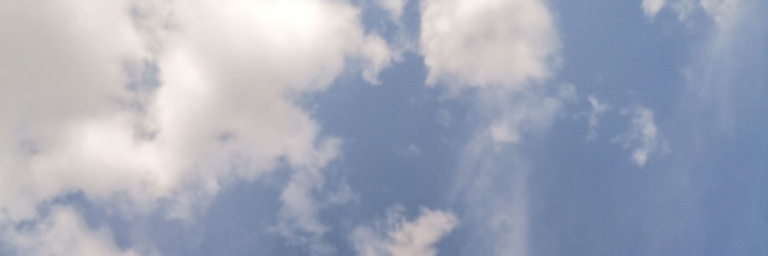 annyy95's profile banner image