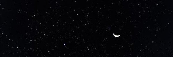 eepyfoxxo Profile Banner