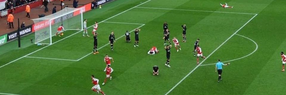 Chloe Wilding banner