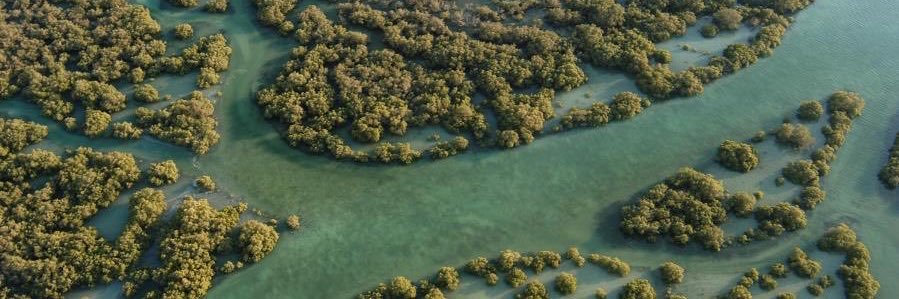 🇸🇦WM98🇸🇦 banner