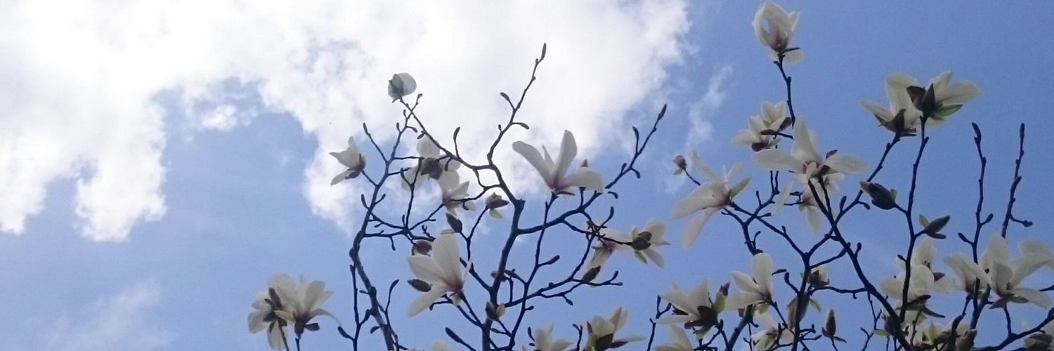 lundi97's profile banner image