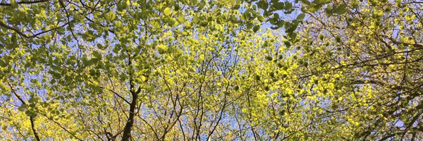 AmayaEllawala Profile Banner