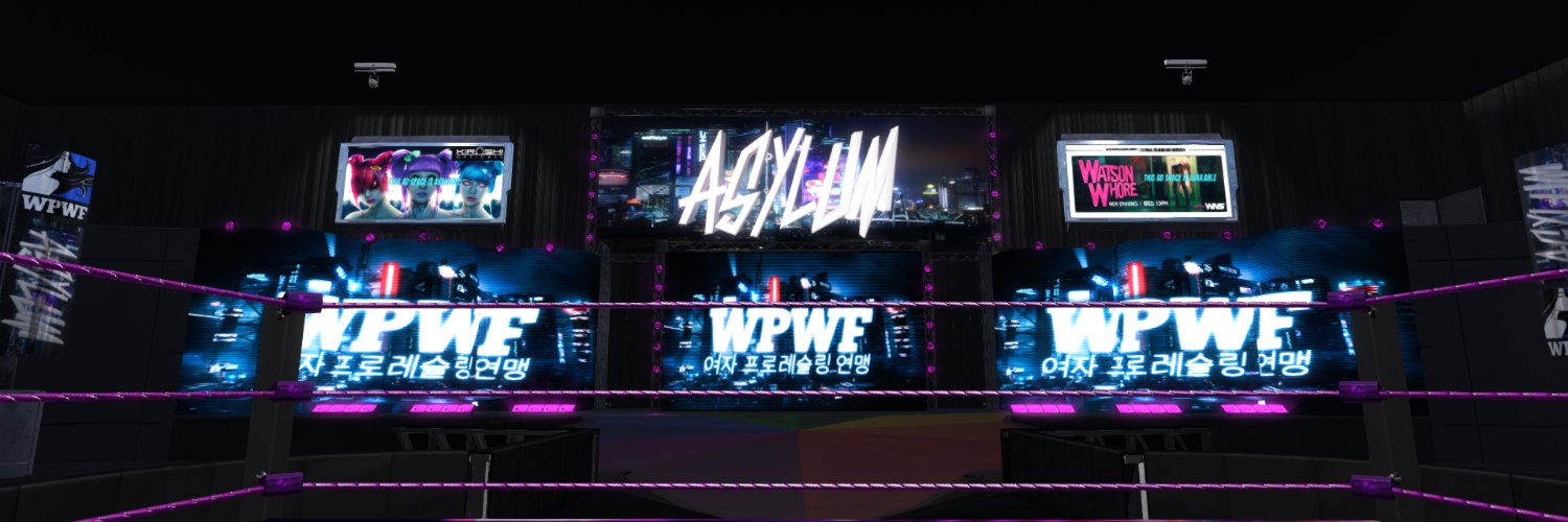 Women's Professional Wrestling Federation banner