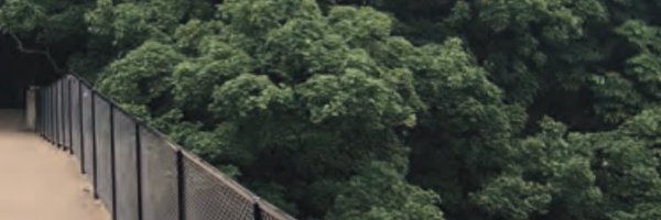 m_c_place Profile Banner