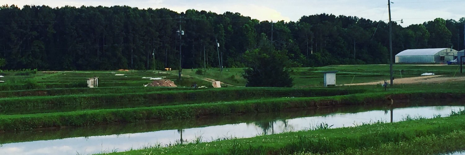 Tyler Cremeans banner