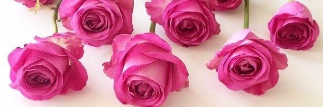 الغريب1 N.T.M.I.H banner