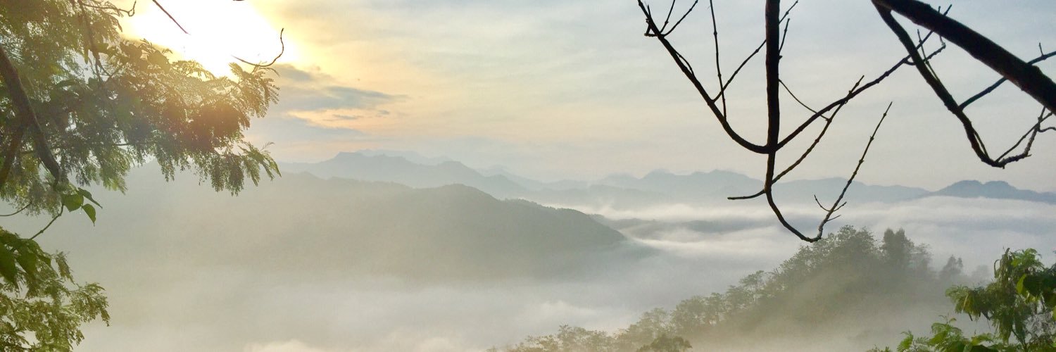 mandynokom's profile banner image