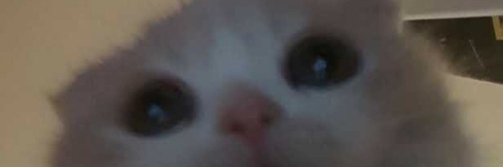 Crypt_Witch 🐈‍⬛ banner