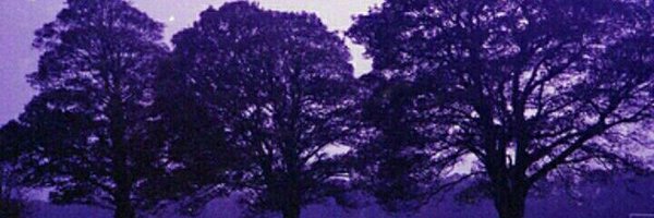 abooorr22 Profile Banner