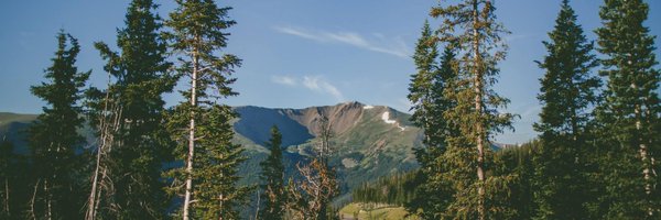 tinagupta2015 Profile Banner