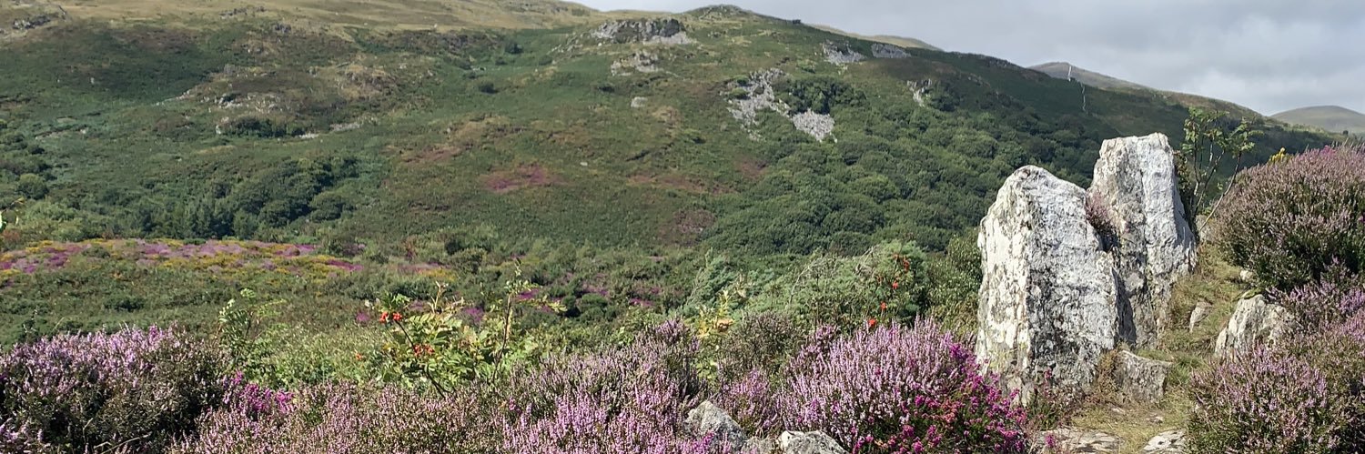kdhighland's profile banner image