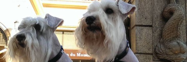 2DogsCandies Profile Banner