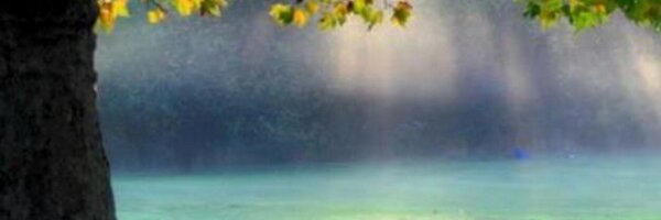 GPIndicator Profile Banner