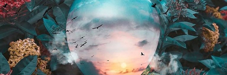 Flaky_ely's profile banner image