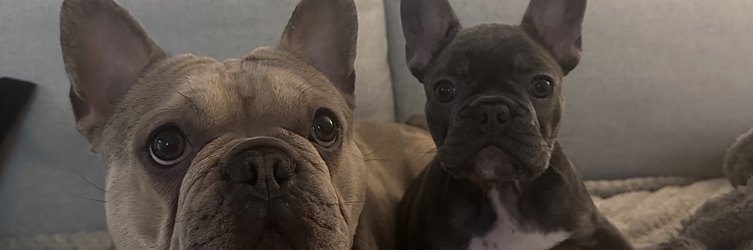 rosiewalker28's profile banner image