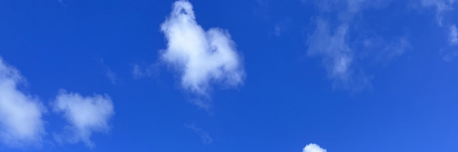 simbrics's profile banner image