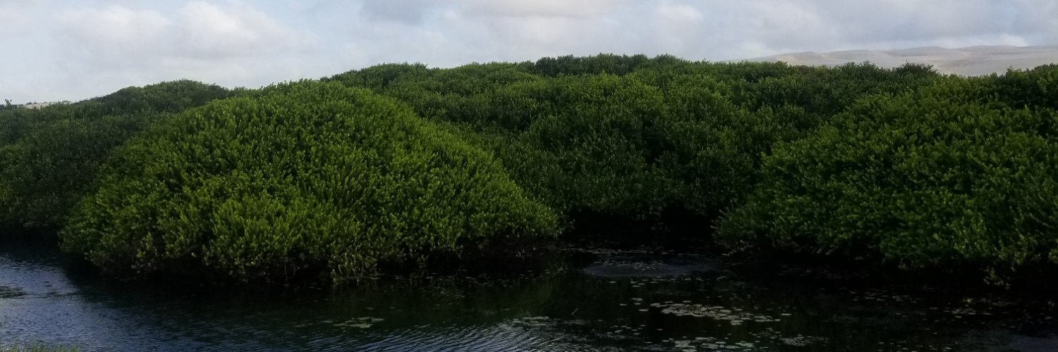 Lucas Cavalcante banner