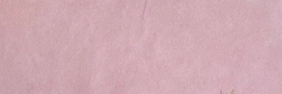 jaylenedsant's profile banner image