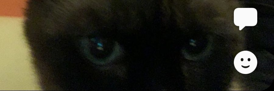 midnightsunn_'s profile banner image