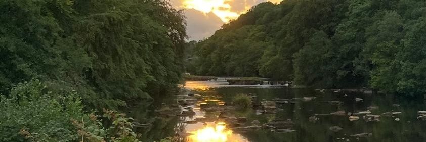 Boot and Shoe banner