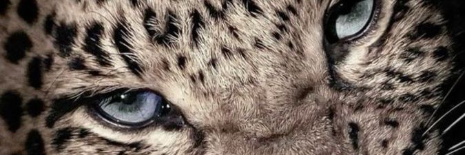 🍂beca🍂 banner