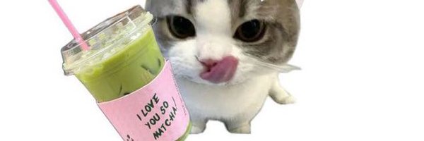 markjinssi Profile Banner