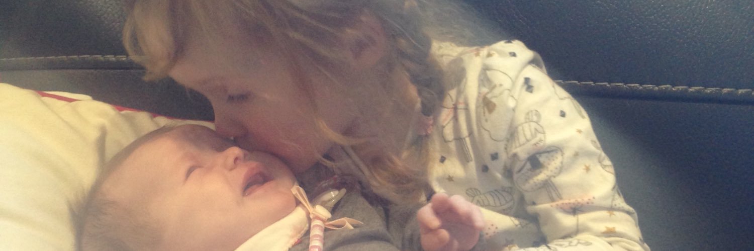 Liann Williamson banner