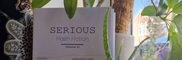FlashSerious Profile Banner
