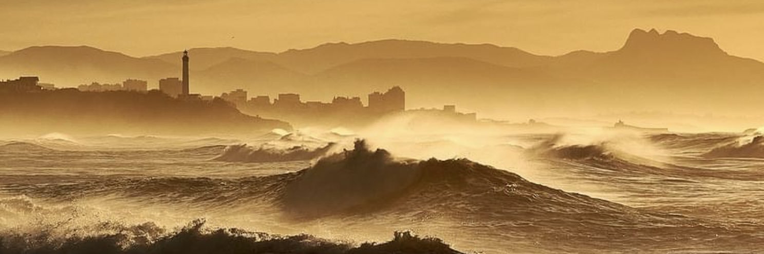 Arnaud de Courson banner