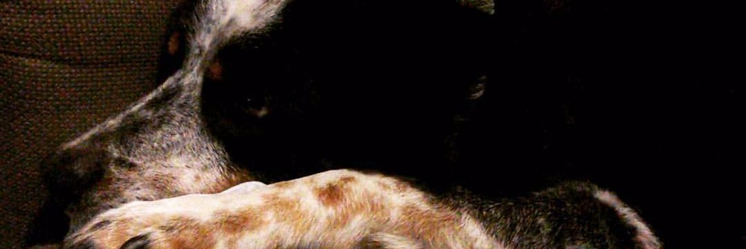 The_C_James's profile banner image