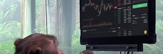 vry_smol_monkey's profile banner image