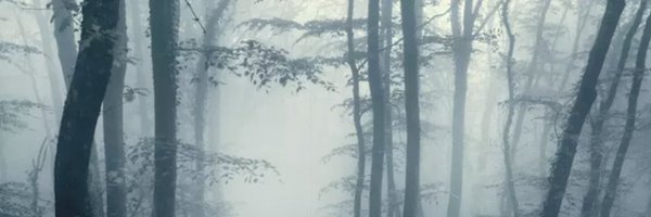 P_Champigny Profile Banner