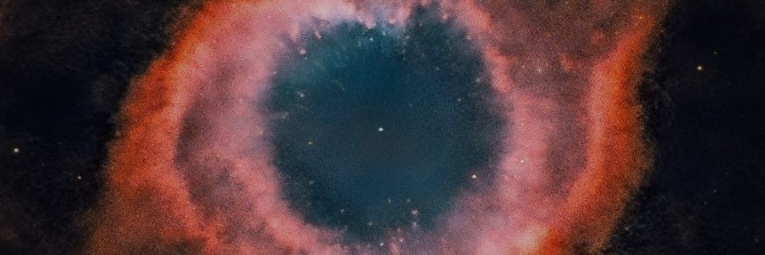 xBearWolf's profile banner image