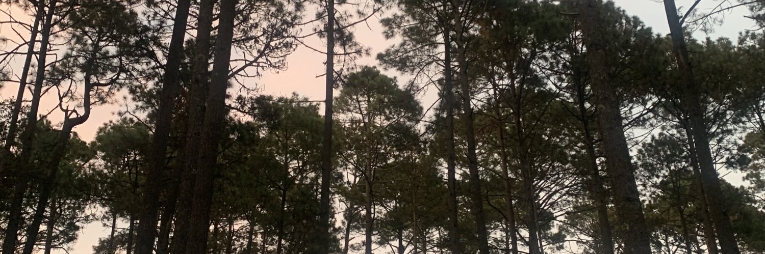 KarimMolina's profile banner image