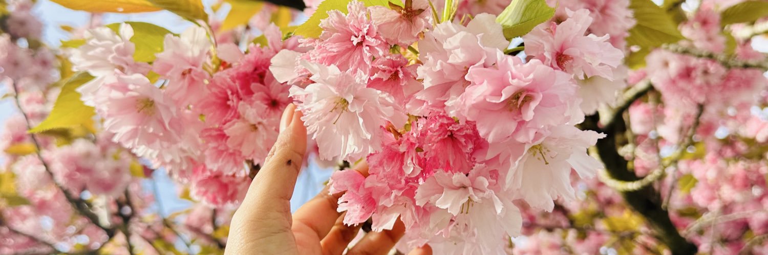 فيبري هلآ banner