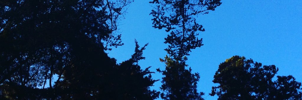 rainymi10's profile banner image