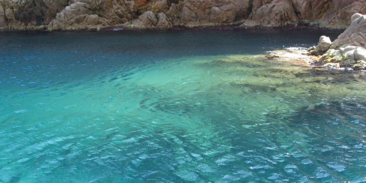 jaume_alberti's profile banner image