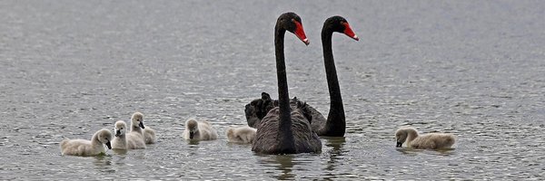 satsstacker1 Profile Banner