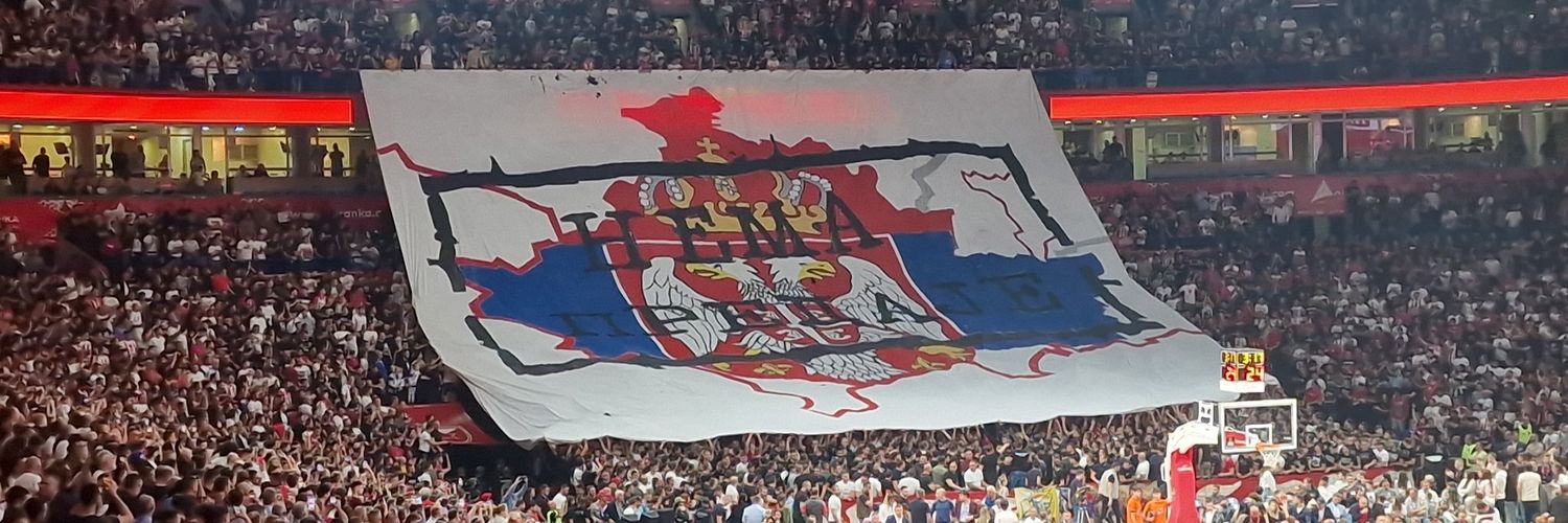 Danijela Mijatović banner