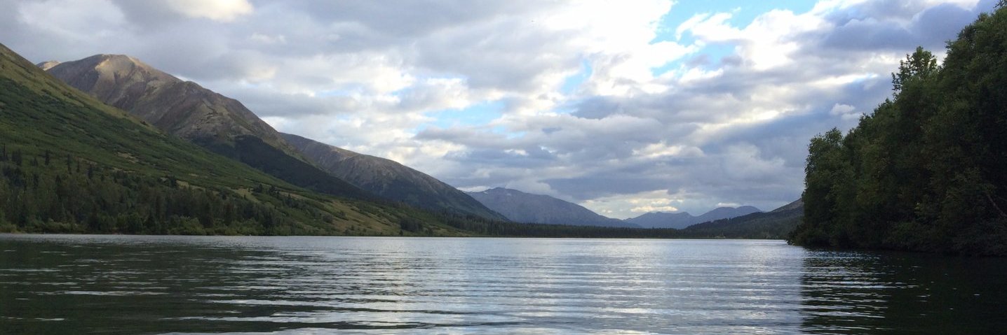 amukudu's profile banner image