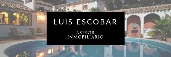 Luis Miguel banner