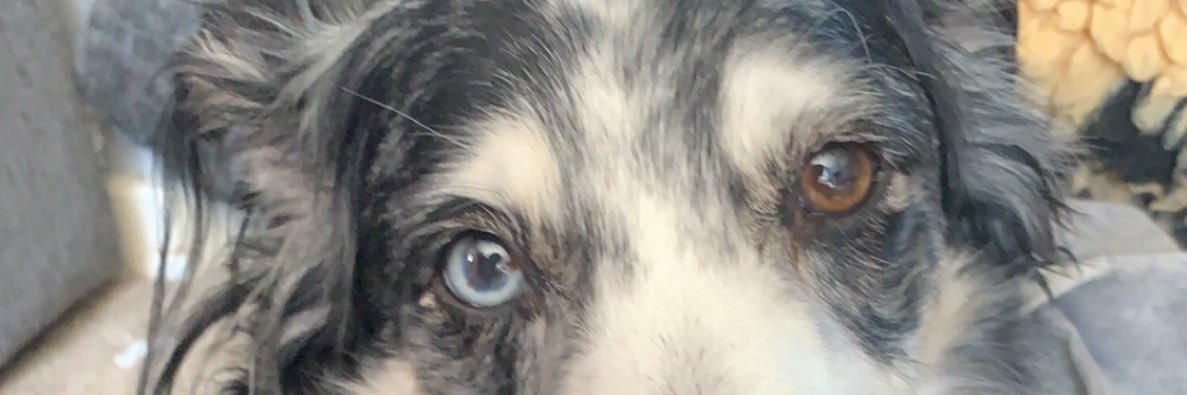 Bethr0sE's profile banner image