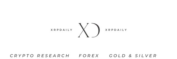 XRPDAILY Profile Banner