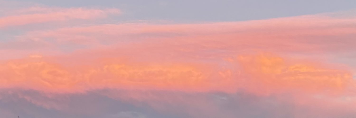 Telma Prats banner