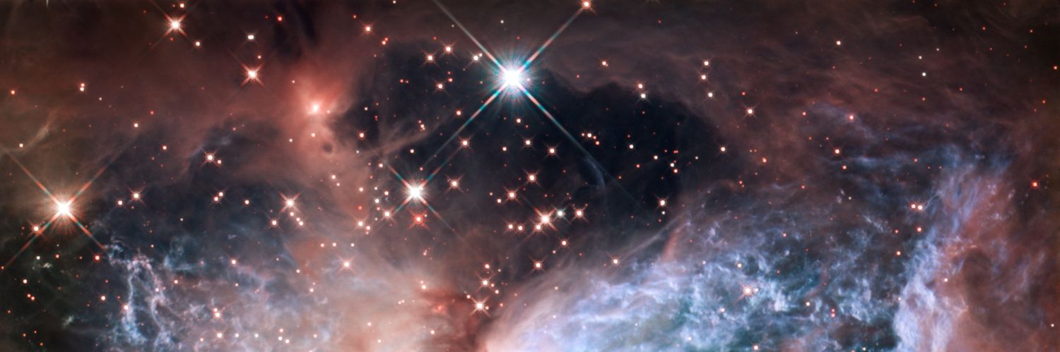 ᴸK开I Fee🐻 ✵ ☽̶☾ banner