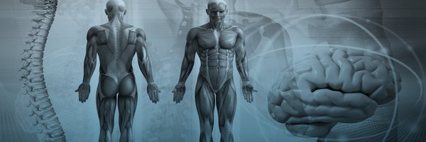 AnatomyLab Profile Banner