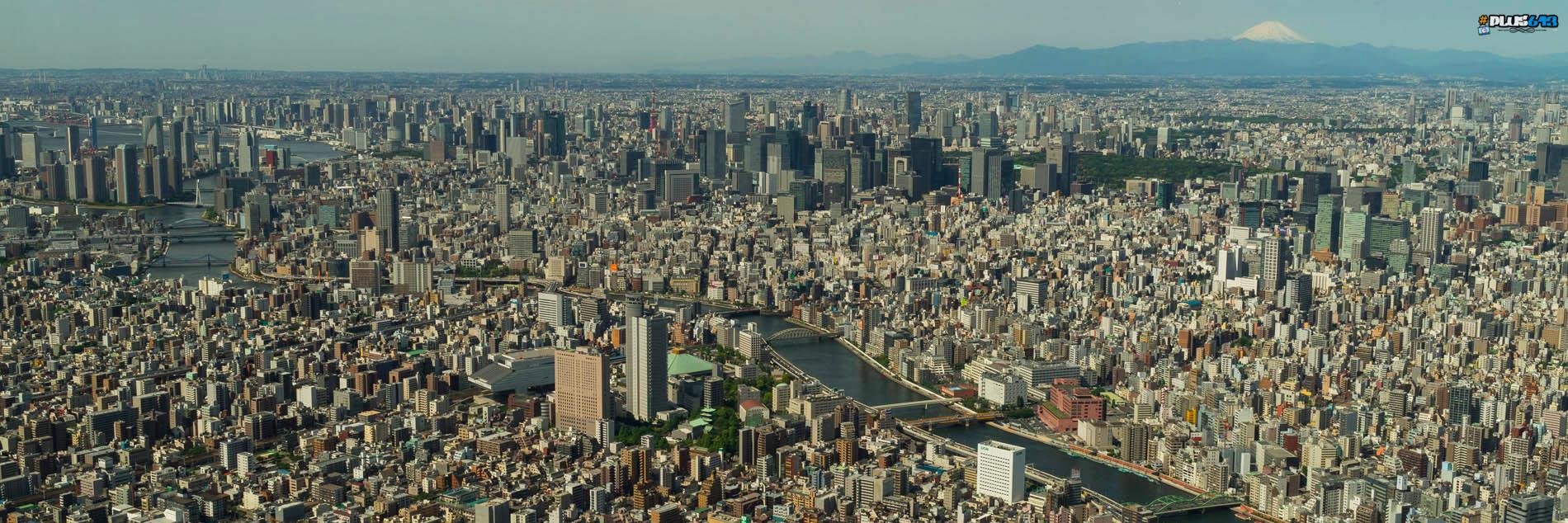 Ilia Blinderman banner