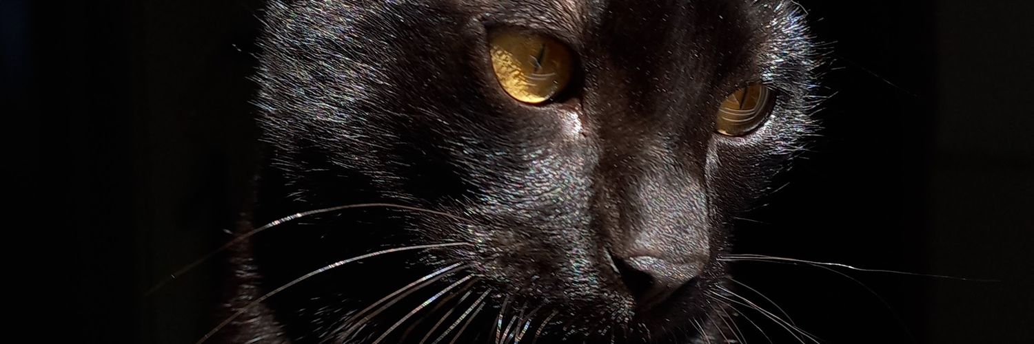 Javisph's profile banner image