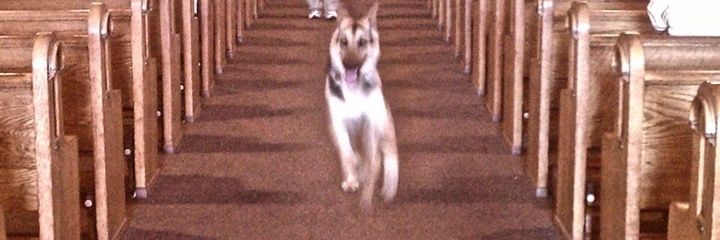 ☆luciddreamer87☆🚦🎄 banner