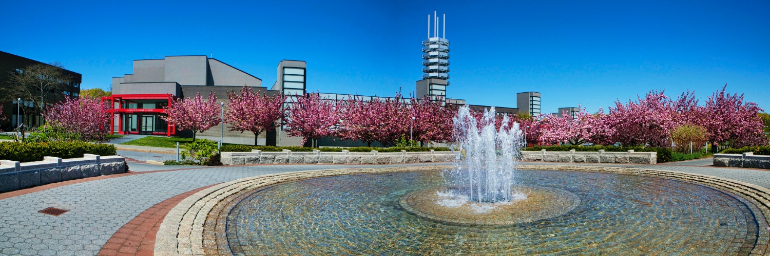 SBU Center for Changing Systems of Power banner